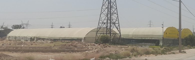 پرورش گل و گیاه شاخهای از کشاورزی و باغبانی است که به رشد، تکثیر و مراقبت از گیاهان زینتی و کاربردی میپردازد.