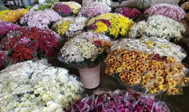 برخی از انواع معروف گلهای شاخه بریده عبارتند از: